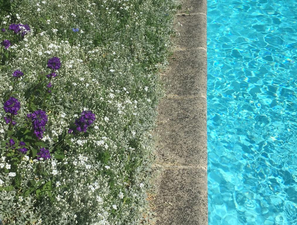 Bed and Breakfast Fleurs De Vignes Piscine Montagny-lès-Beaune Exterior foto
